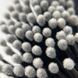 TORY LASH microbrushes in a package of 100 pcs