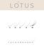 Ресницы LOTUS черные (отдельные длины) 20 линий